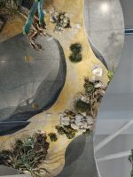 与自然共生展丨探险植物世界 在镜像中寻本心