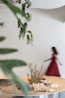 与自然共生展丨探险植物世界 在镜像中寻本心