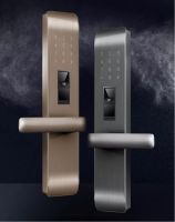 拥抱千亿智能家居风口！2020建博会门博会静脉智能门成大趋势！