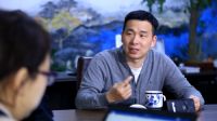 抢滩软装新蓝海，奏响中国最“墙”音