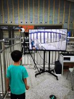 2020云南建博会开展在即｜展商正式进场搭建！