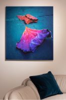 何肇娅摄影绘画展 于Natuzzi Italia上海文定精品店展出