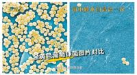 如厕有新招，快给你的马桶君添副高级装备！