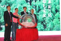 2020-8-6发布1篇文章，共计15个网站，6个论坛
