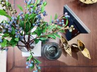 2020「酷+创造营」先锋设计师选拔-孙升庆《罗马假日》