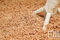 2020深圳国际家具展 | 门川闫婷：“给人以有冲击力的感受，是原创品牌想要传达的”