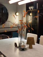 拾贰空间金如箭：满足年轻消费者对悦己生活的向往