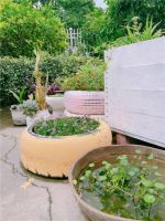 方太首届秋季家装节之【装修篇：她在家里打造出花园果园，每日生活都像一曲田园牧歌】