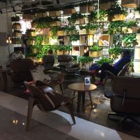 有特色的咖啡厅都是如何设计的?