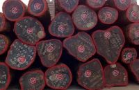 东成素刻 | 原料篇，关于一块木头的故事。