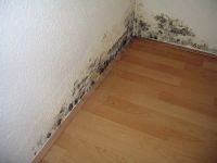 考察凯曼KEIM矿物涂料怎样从根源上解决别墅地下室墙面脱落生霉返碱