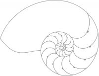 美景技术公司：技术进化的极致是艺术