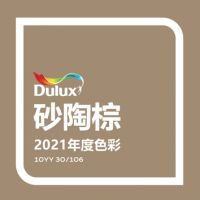 多乐士发布2021全球色彩趋势：砂陶棕让你无惧生活改变