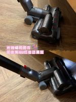 乘风破浪的吴昕居家必备小狗吸尘器