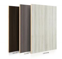 大王椰沙贝工艺：别致触感，不凡的家居灵气