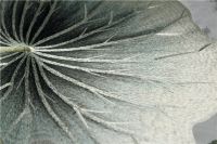 【领绣】自带滤镜的颜色来了！ 凝练中国古典情韵 一眼惊艳！