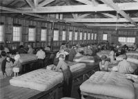 探秘“深睡眠”