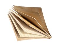 千年舟斩获2020中国家居品牌大会&ldquo;十大优选家居板材品牌 &rdquo;