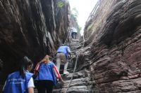 HVBV“航邦宠粉节·国货当潮”全国联动河南站盛大启动