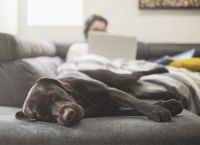 BEHR百色熊21款流行色发布，分分钟提升家居空间舒适度