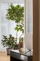 2020「酷+创造营」先锋设计师选拔-王冰洁-陪伴