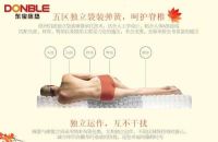 暑退秋澄气转凉，东宝乳胶床垫养生正当时