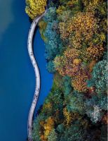 高端新品“范” | “范FY’R——FOR YOUR……”