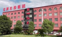 党牌网络科技公司 多元化发展的互联网企业