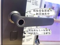 发现家里宠物会自己开门以后，我决心换一把智能锁