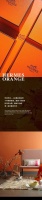 【YASLAN】现代高雅爱马仕橙 一见倾心艳动四方