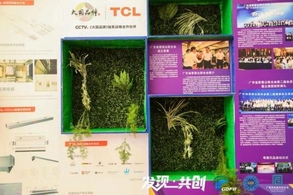  TCL华瑞照明科技（惠州）有限公司