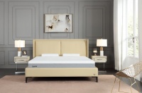 评测|泰普尔国产组装系列床垫：来自五星级酒店的床垫！