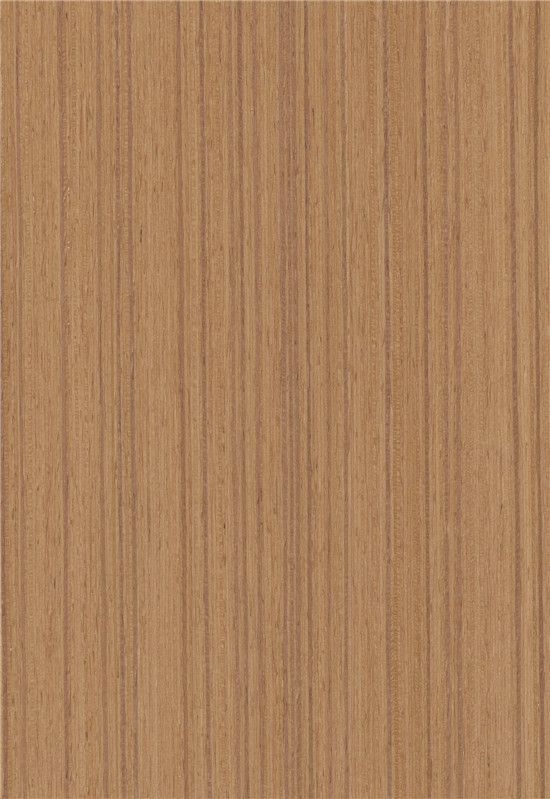 M6246-柚木直纹.jpg