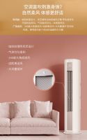 一台可以上墙的“柜机” 苏宁小Biu新能效变频2P挂机开启预定