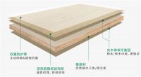 兔宝宝除醛抗菌板全新上线,"双重防护"为家提升免疫力