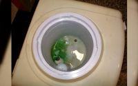 健康从水质安全开始,水质安全从立升净饮一体机做起