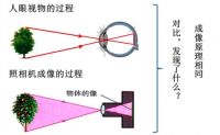新品大眼橙X11投影仪搭配造价高的光学变焦功能，价格会是多少钱呢？