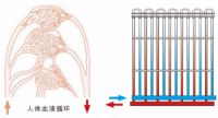 再谈绿色健康环境 | 金茂绿建亮相湖北房地产绿色供应链发展交流会