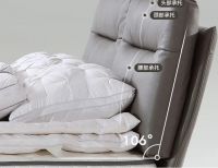 智慧睡眠，尽在爱依瑞斯智+皮床！