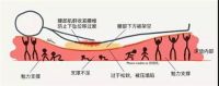 不纠结软硬床，普拉眠智能床垫给你恰到好处的脊椎呵护