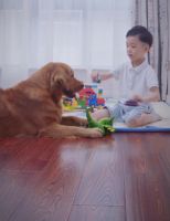久盛助力红星美凯龙超级地板品类节 疯抢超A硬实力