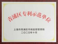 书香门地集团荣膺“青浦区专利示范单位”