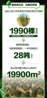 出一木之力 建安居乐林 百安居公益持续在行动