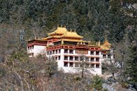 好莱客原态探索之旅收官,以创新思维打开原态生活的想象力