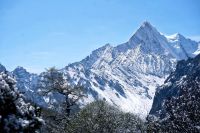 好莱客原态探索之旅收官,以创新思维打开原态生活的想象力