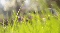 欧神诺瓷砖 | 适合小满节气的4款家装风格,请查收!