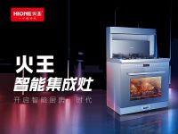 深圳火王是一家怎样的企业