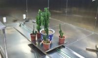 日本小伙开挂 百万实验室测出最用好的除甲醛方法