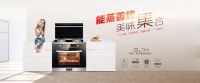 集成灶加盟代理那个牌子好？为什么？