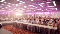 李冰冰亲临助阵！顺辉瓷砖516超级品牌日